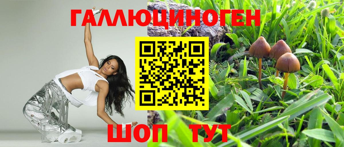 Псилоцибиновые грибы Cubensis Гурьевск