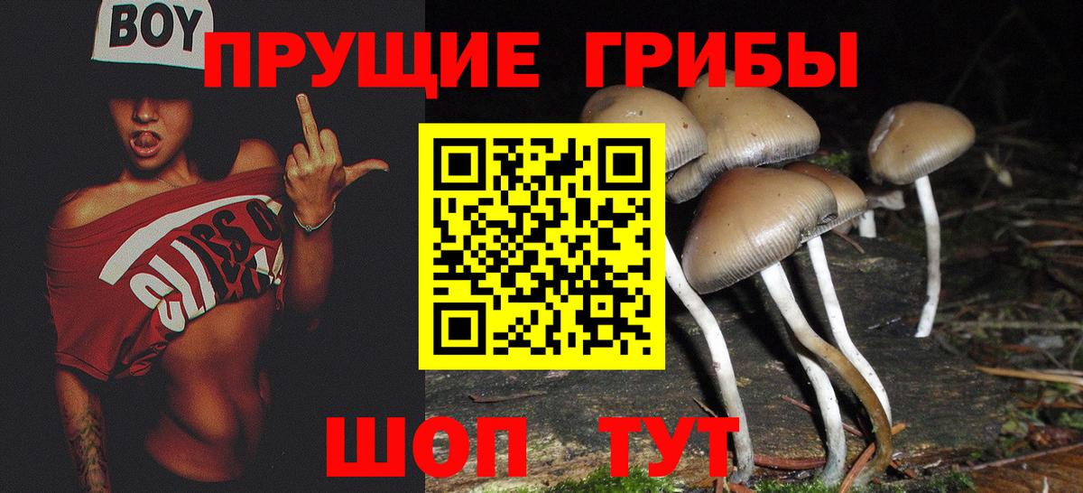Псилоцибиновые грибы прущие грибы  Вход с VPN  Гурьевск  наркошоп  Псилоцибиновые грибы GOLDEN TEACHER 