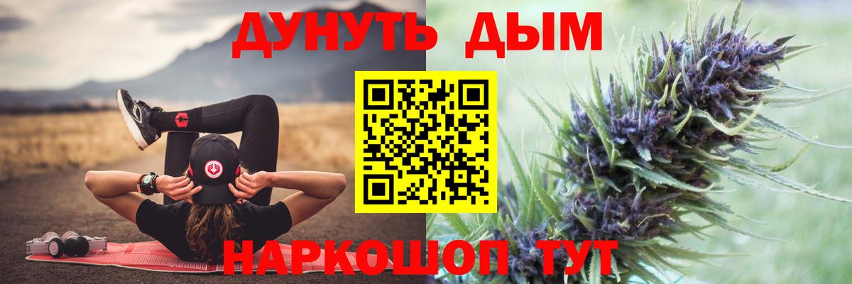 Бошки Шишки Bruce Banner  Вход с VPN  Конопля SATIVA & INDICA  Бошки Шишки сатива  Гурьевск  Каннабис SATIVA & INDICA 